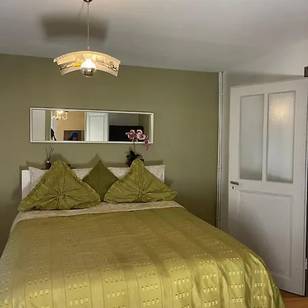 Le Cosy Appartement Schiltigheim Buitenkant foto