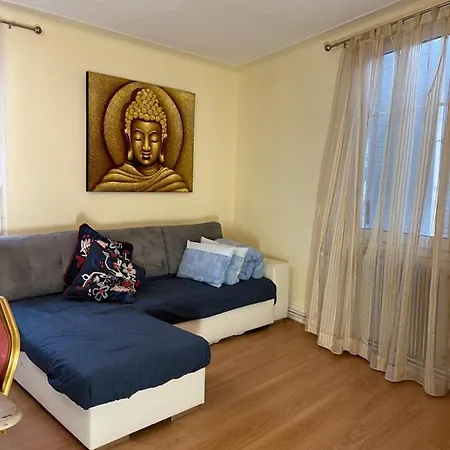 Le Cosy Appartement Schiltigheim Buitenkant foto