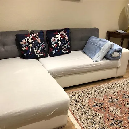 Le Cosy Appartement Schiltigheim Buitenkant foto