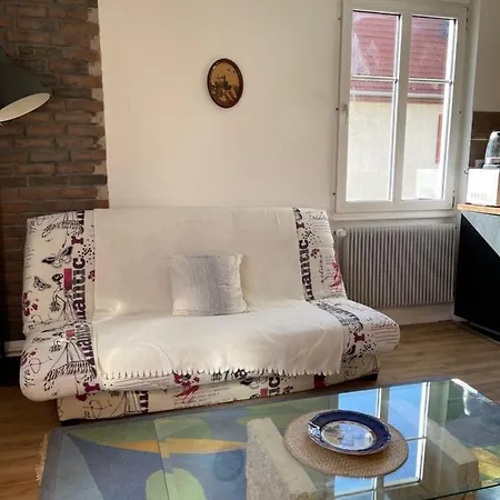 Le Cosy Appartement Schiltigheim Buitenkant foto