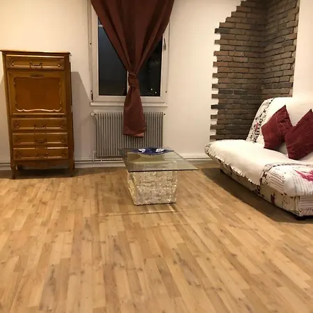 Le Cosy Appartement Schiltigheim Buitenkant foto