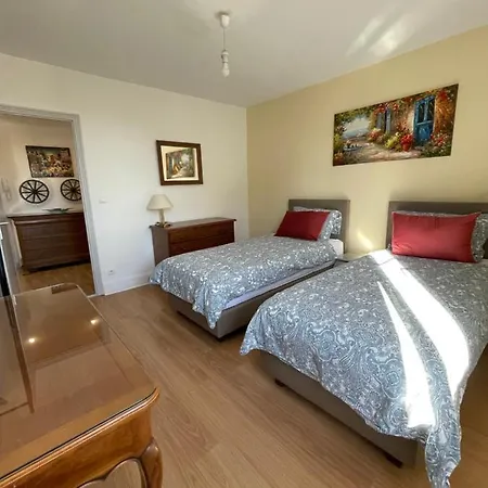 Le Cosy Appartement Schiltigheim Buitenkant foto