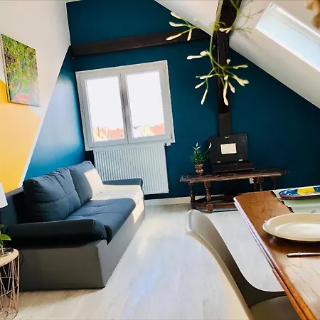 Le Cosy Appartement Schiltigheim Buitenkant foto