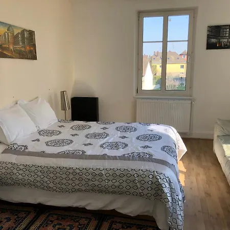 Le Cosy Appartement Schiltigheim Buitenkant foto
