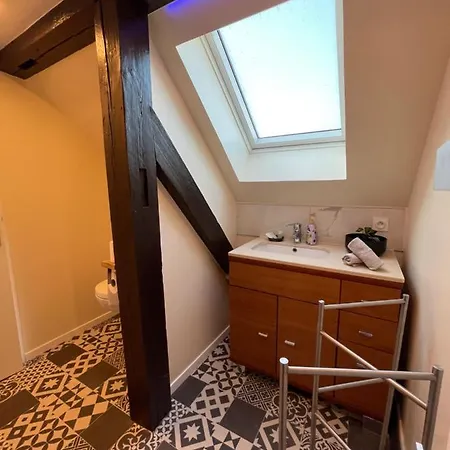 Le Cosy Appartement Schiltigheim Buitenkant foto