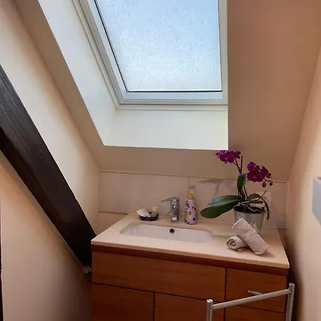 Le Cosy Appartement Schiltigheim Buitenkant foto