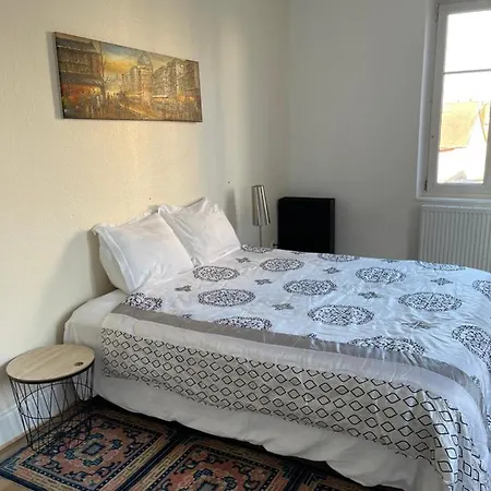 Le Cosy Appartement Schiltigheim Buitenkant foto