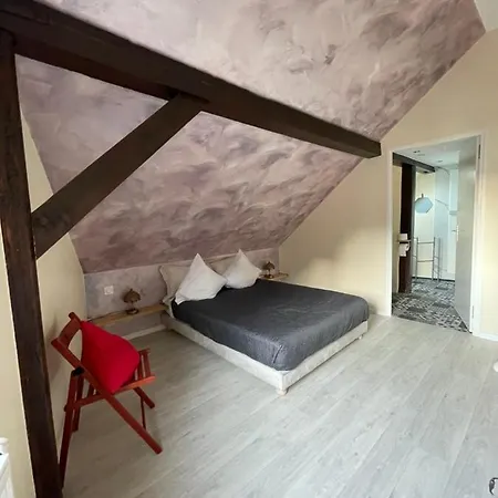 Le Cosy Appartement Schiltigheim Buitenkant foto